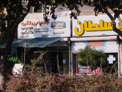 عکس آراسپ پروتئین 