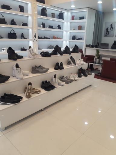 عکس نمایندگی چرم نیکلاس