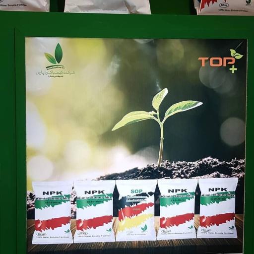 عکس شرکت کیمیا کود پارس