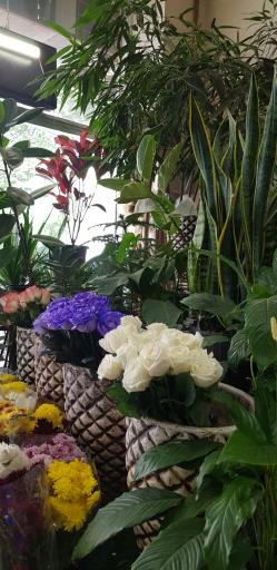 عکس گل فروشی  گلِن