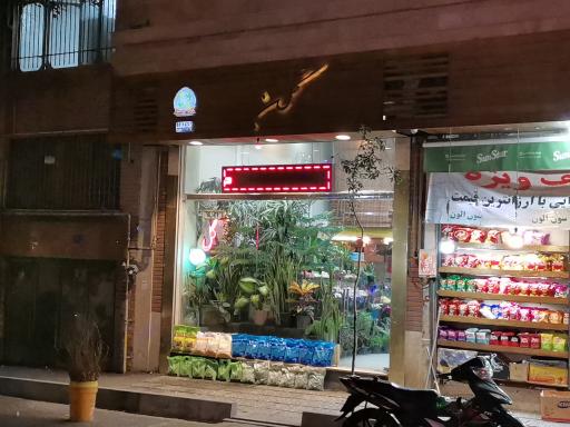 عکس گل فروشی  گلِن