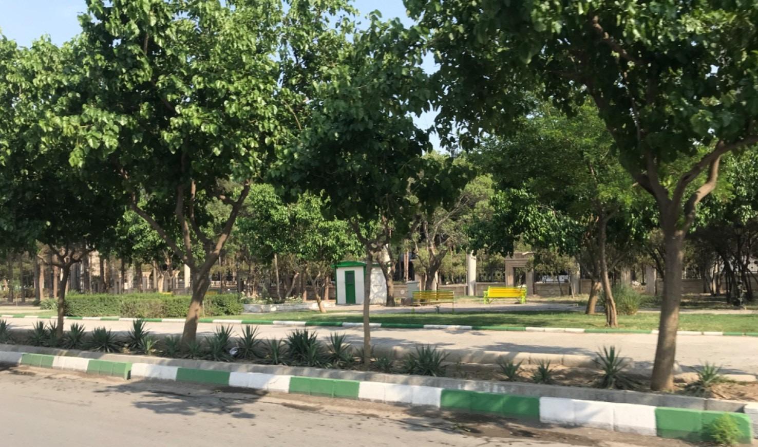 عکس بوستان گلایل 
