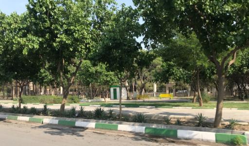 عکس بوستان گلایل 