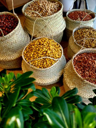 بازرگانی بارثاوا