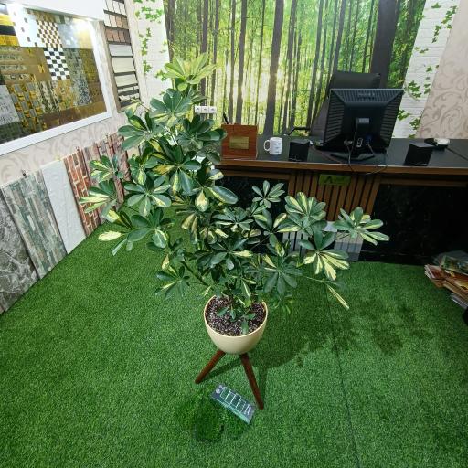 عکس دکوراسیون پدیده