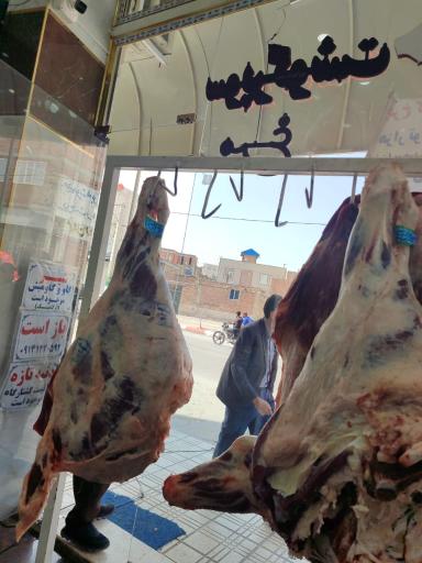 عکس کباب بناب سید