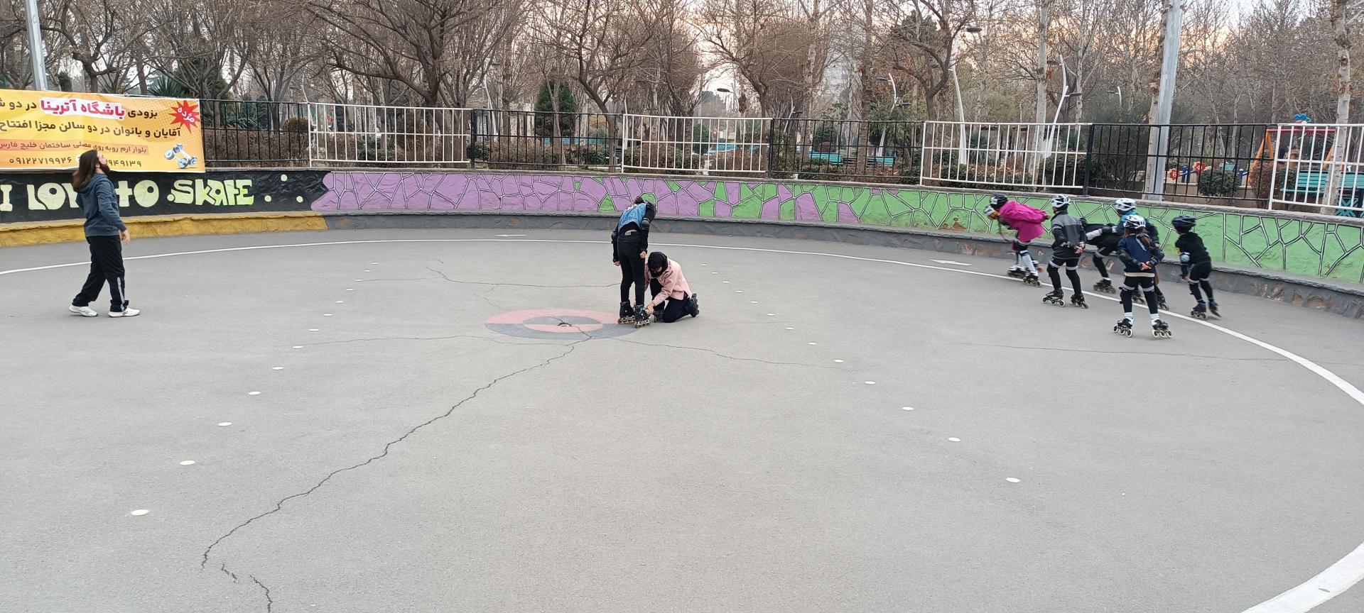 عکس زمین اسکیت هامون