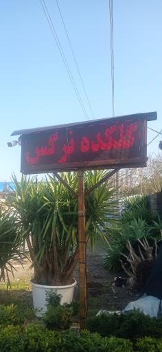 عکس گلکده نرگس