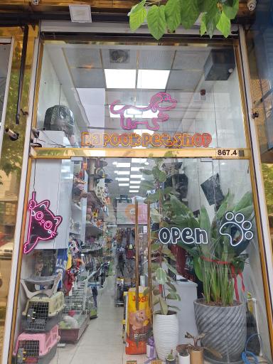 عکس پت شاپ باپوک