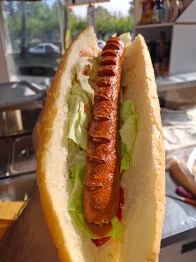 عکس آقای فلافل