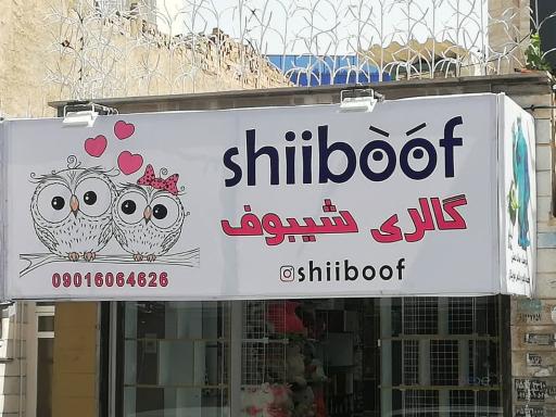 عکس گالری شیبوف