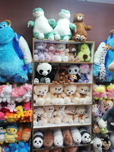 عکس گالری شیبوف