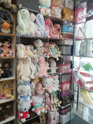 عکس گالری شیبوف