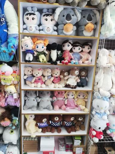 عکس گالری شیبوف