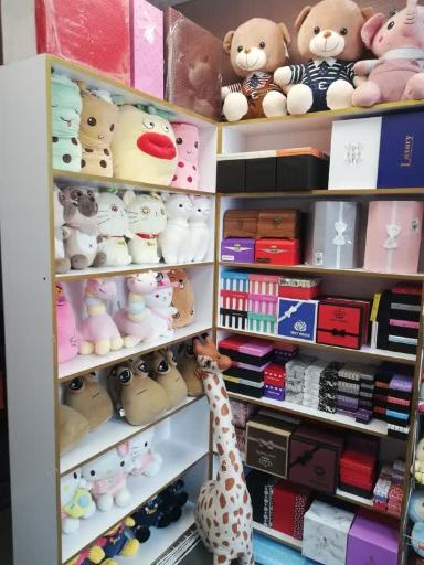 عکس گالری شیبوف