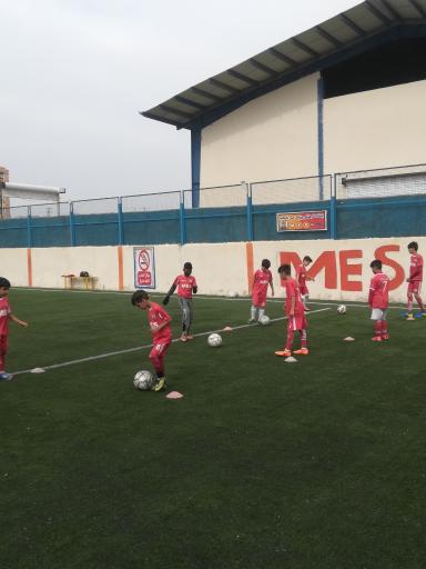 عکس زمین چمن شماره ۲ باشگاه نهال امید