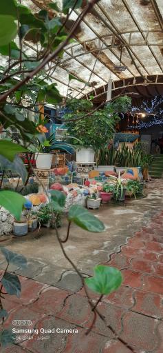 رستوران و سفره خانه سنتی دربند