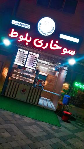 عکس سوخاری بلوط 