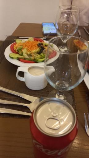 عکس رستوران هتل کاروانیکا