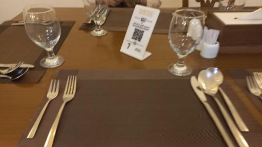 عکس رستوران هتل کاروانیکا