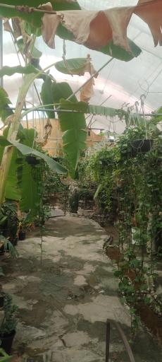 عکس مجتمع پذیرایی مزرعه گل