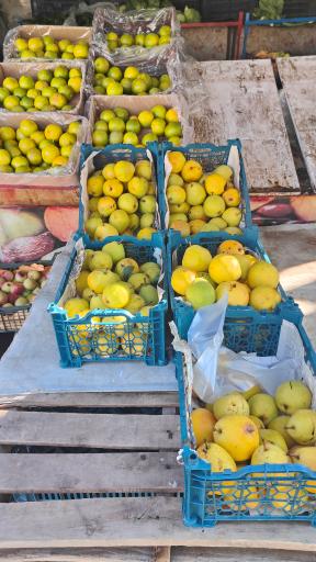 عکس فروشگاه میوه و تره‌بار قربانیان