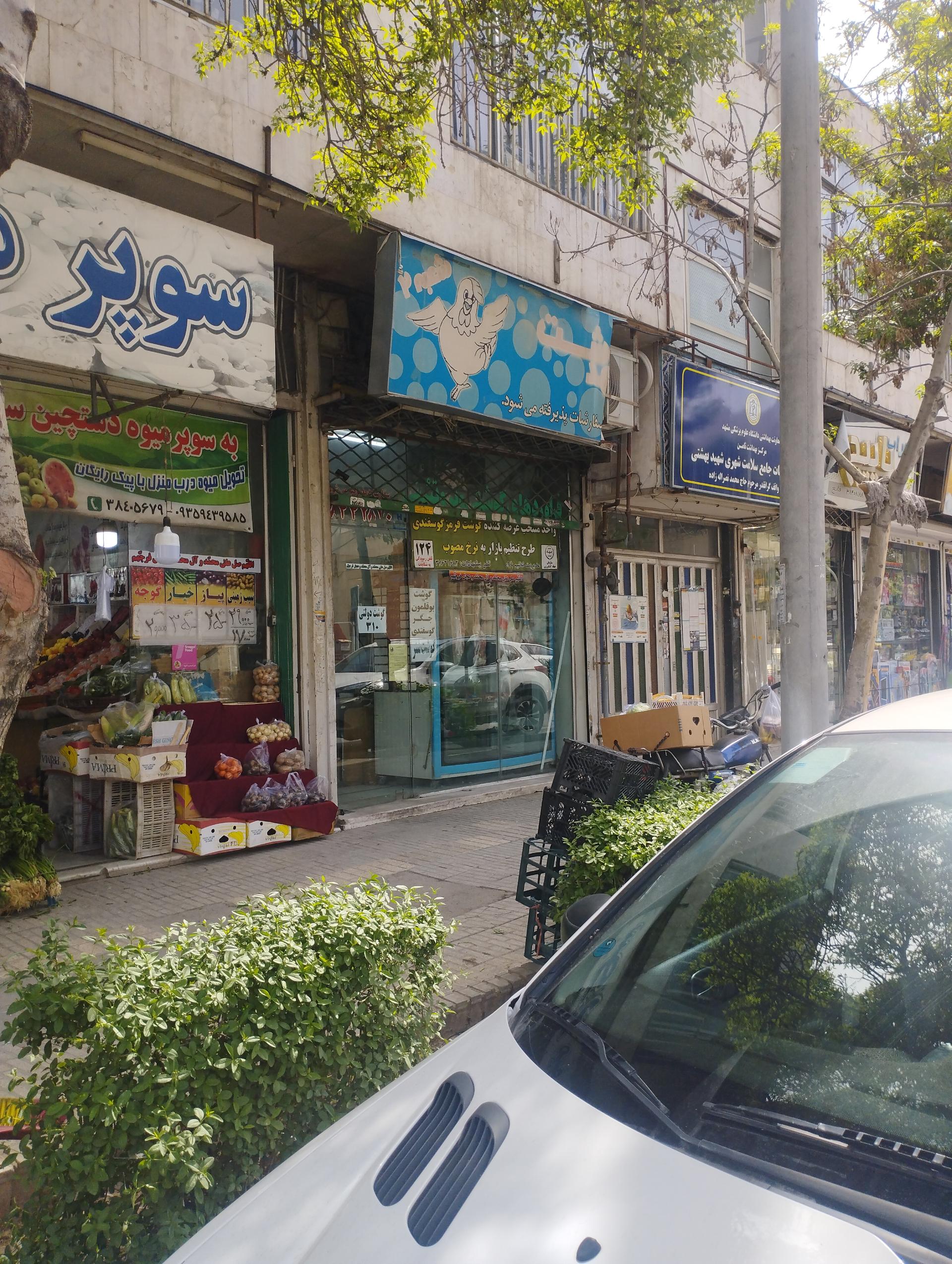 عکس پروتئینی بهدشت