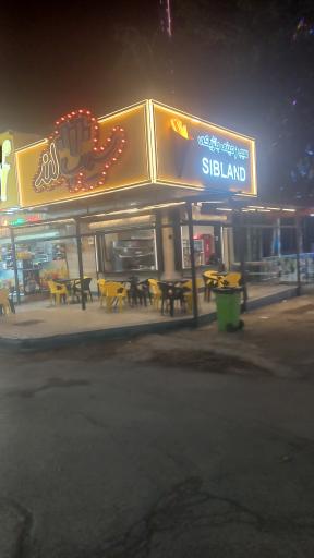 عکس سیب لند  شعبه دوم