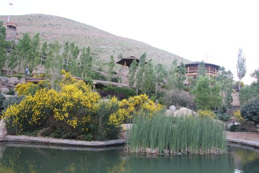 عکس بوستان آبشار