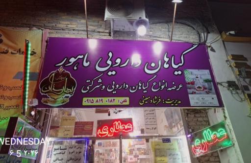 عکس گیاهان دارویی ماهور