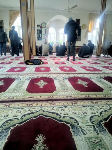 عکس مسجد الرسول