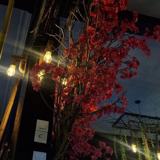 عکس کافی شاپ تی 