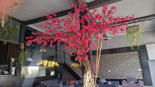 عکس کافی شاپ تی 