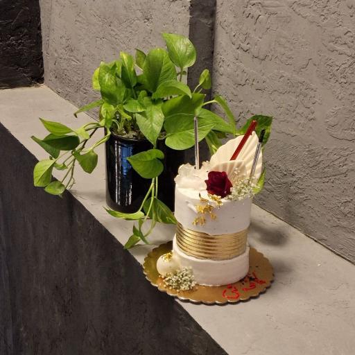 عکس کافی شاپ تی 