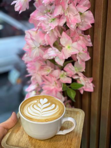 عکس قهوه پدرو 2