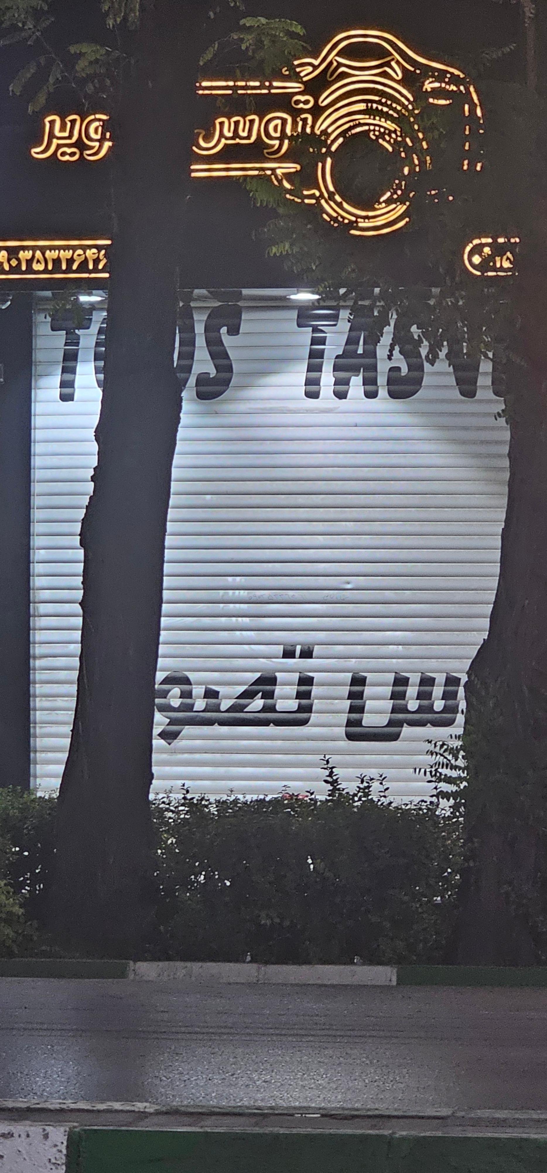 عکس توس تصویر