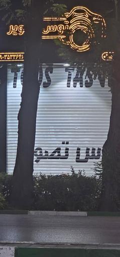 عکس توس تصویر