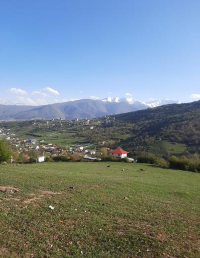 عکس مکارود