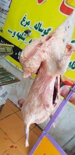 عکس قصابی جنگی