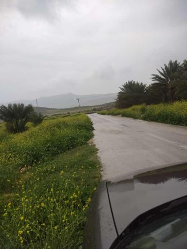 عکس خور