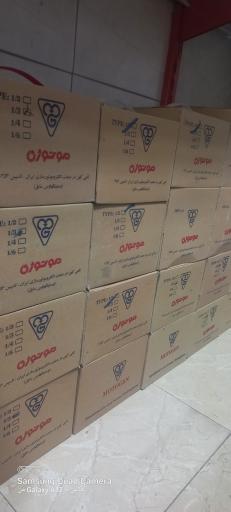 عکس موتوژن بهروز