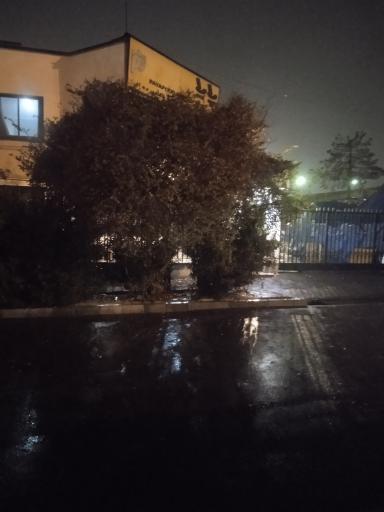 عکس شرکت پایا پود