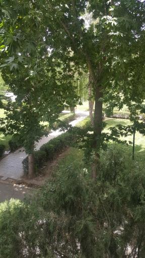 عکس پارک شهر