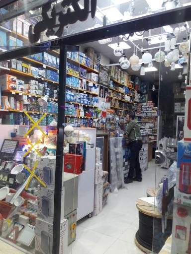 عکس الکتریکی نور قائم(عج)