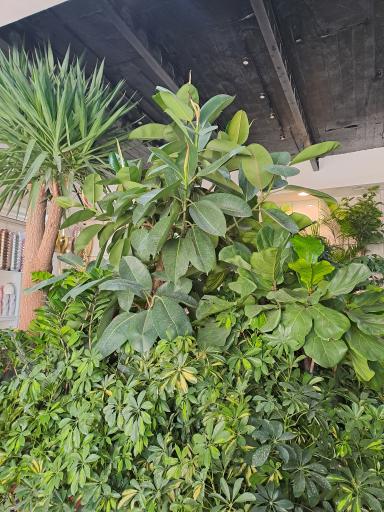 عکس گل فروشی کلاسیک