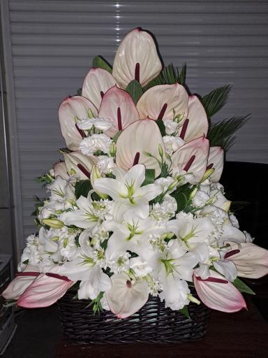 عکس گل فروشی کلاسیک