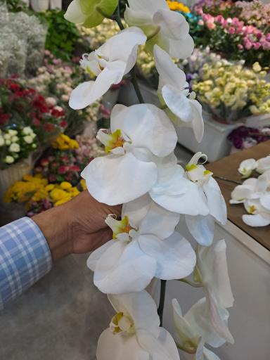 عکس گل فروشی کلاسیک