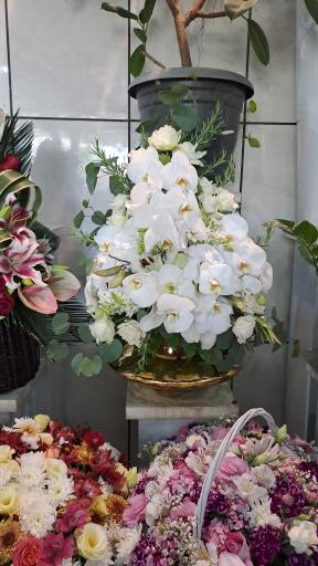 عکس گل فروشی کلاسیک