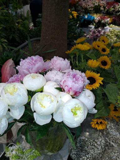 عکس گل فروشی کلاسیک