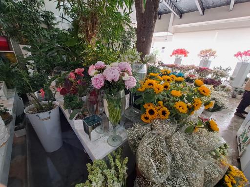 عکس گل فروشی کلاسیک